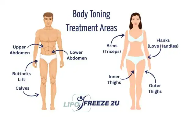 Graphic showing where you can have Body toning Treatment Portsmouth on your body